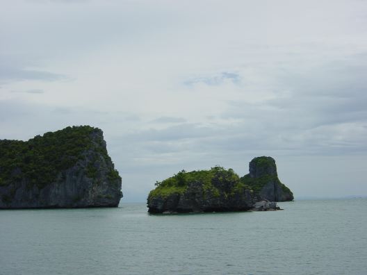 DSC01377.JPG