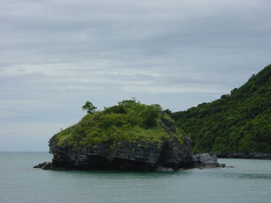DSC01378.JPG