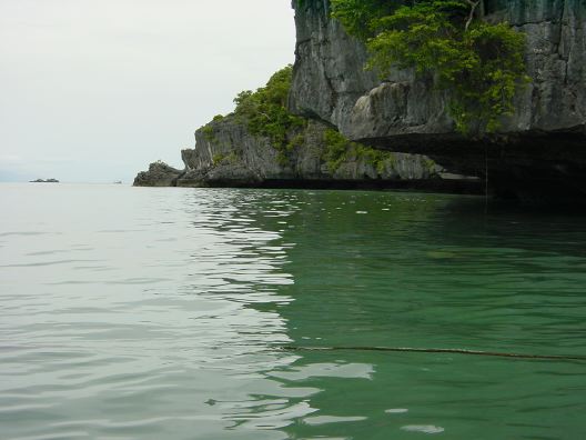 DSC01386.JPG