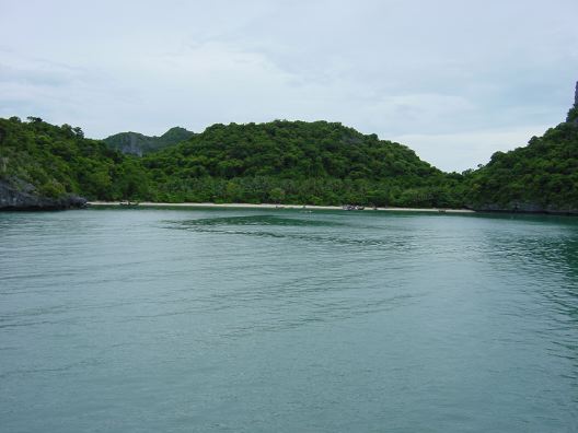 DSC01391.JPG