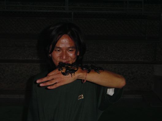 DSC01272.JPG
