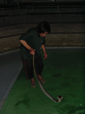 DSC01277.JPG