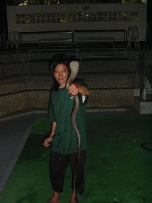 DSC01279.JPG