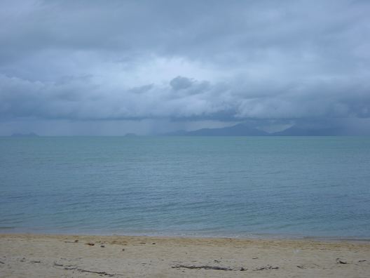 DSC01195.JPG