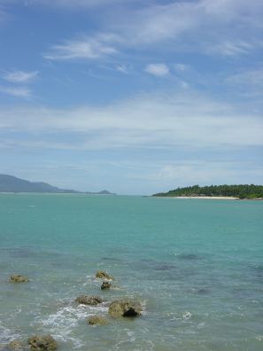 DSC01220.JPG