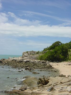 DSC01226.JPG