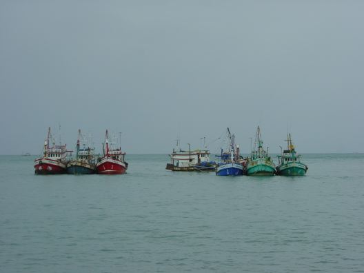 DSC01237.JPG